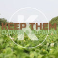 Kanati Keep Them Clover & Alfalfa