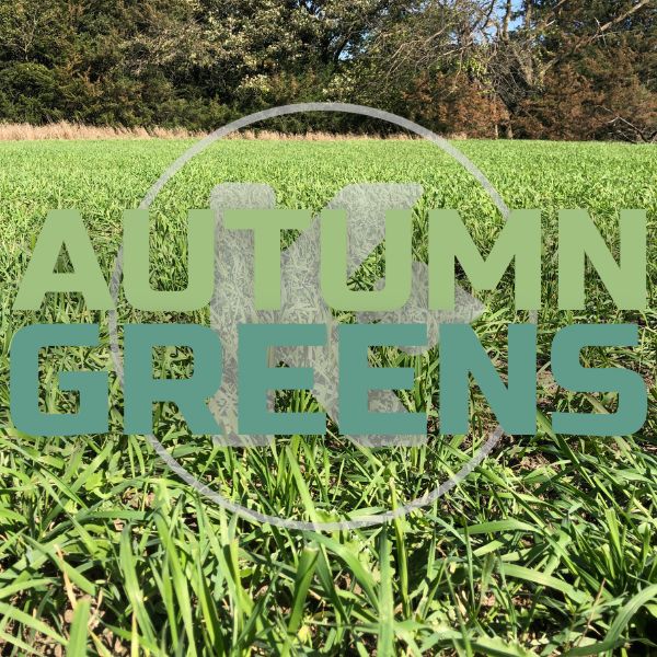 Kanati Autumn Greens