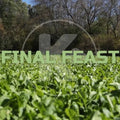 Kanati Final Feast
