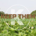 Kanati Keep Them Clover & Alfalfa